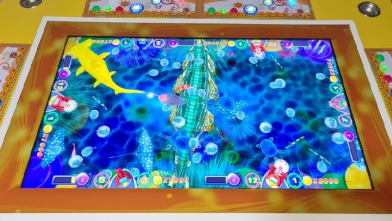 Săn cá theo nhóm Săn cá theo nhóm