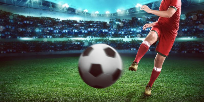 Nắm chắc thông tin mỗi bên tham gia