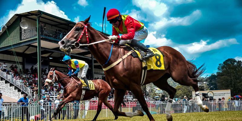 Các bước tham gia chi tiết